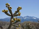 Coronado State Park : New Mexico